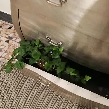 Note D'acqua 3* Introdacqua