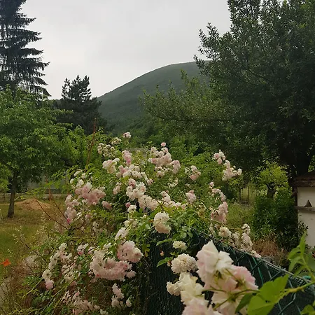 Note D'acqua